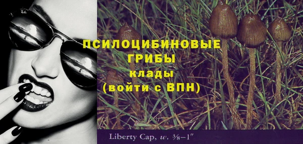 spice Елабуга