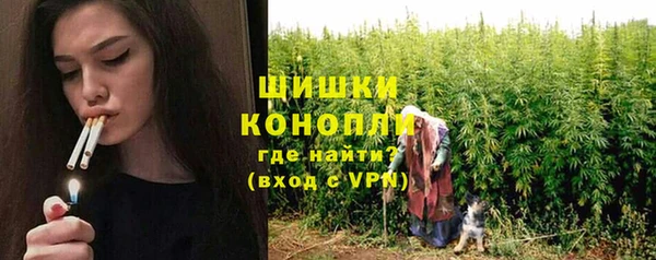 spice Елабуга