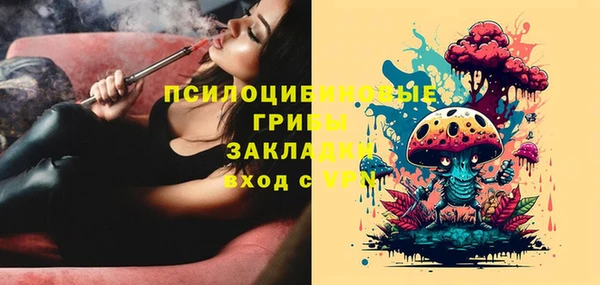 spice Елабуга