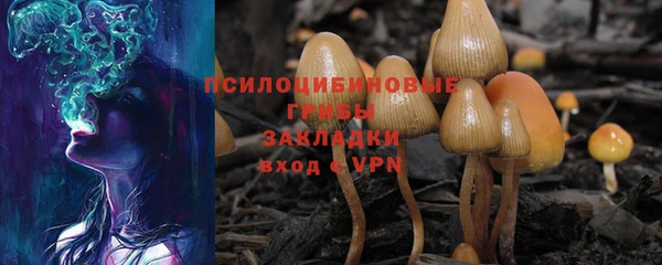 mdma Елизово