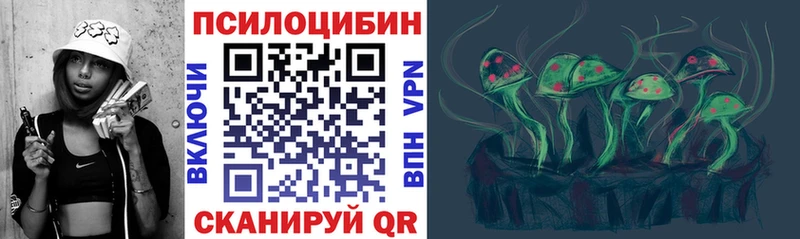 Псилоцибиновые грибы мицелий  где найти   blacksprut ссылки  Курган 
